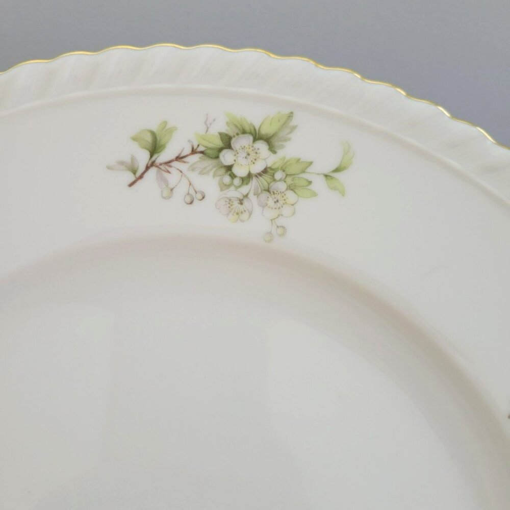 Vintage Franconia Hawthorn Dinner Plate, White Flowers & Leaves, Gadroon Border, - Picture 5 of 9